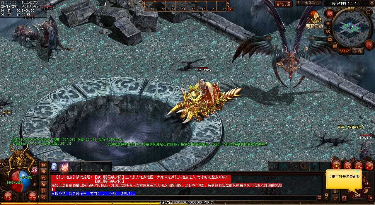 【合成版传奇】组队攻略:击败生命图腾!